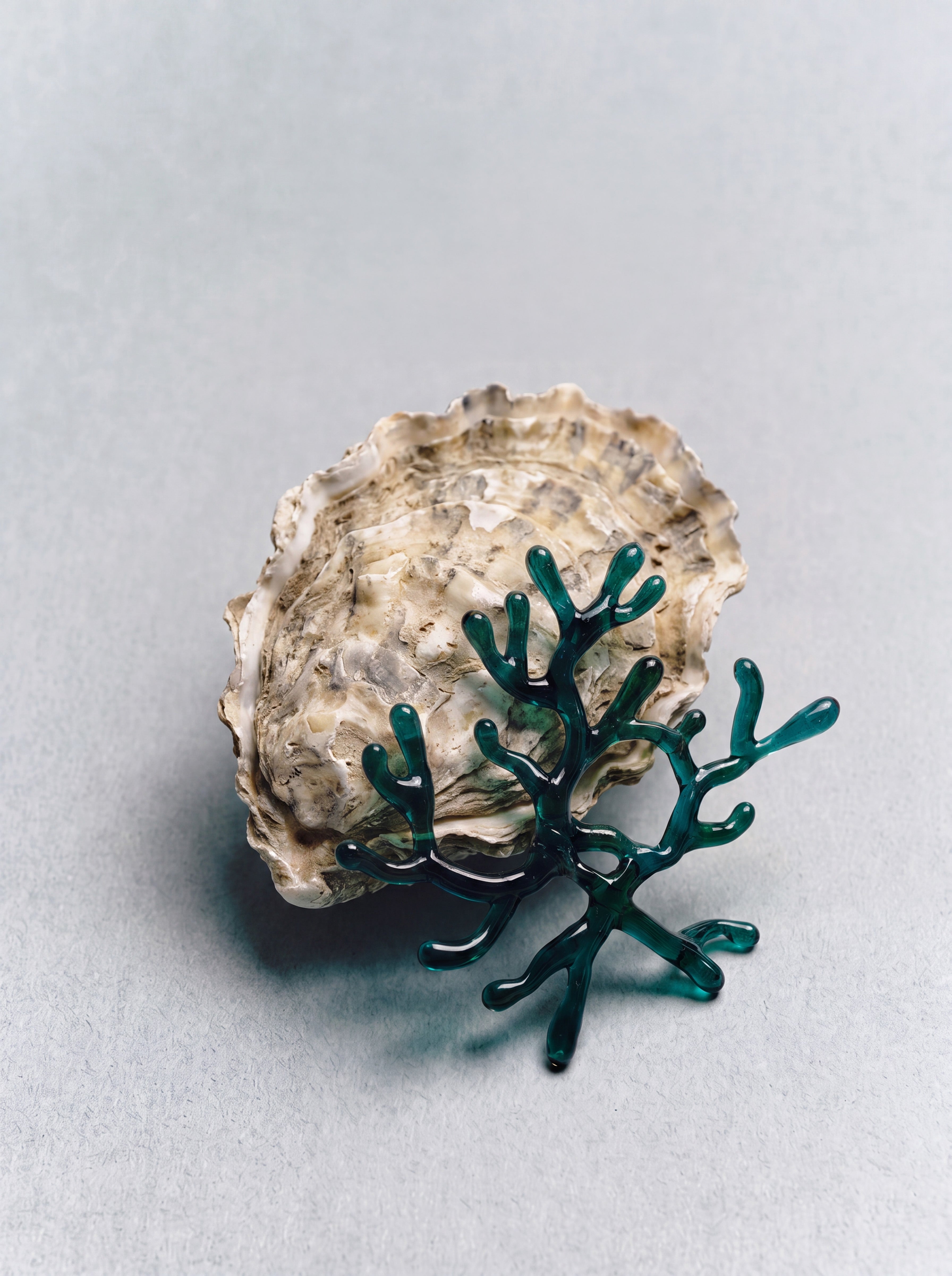 PREVENTA Broche Algae x Mar Bermejo