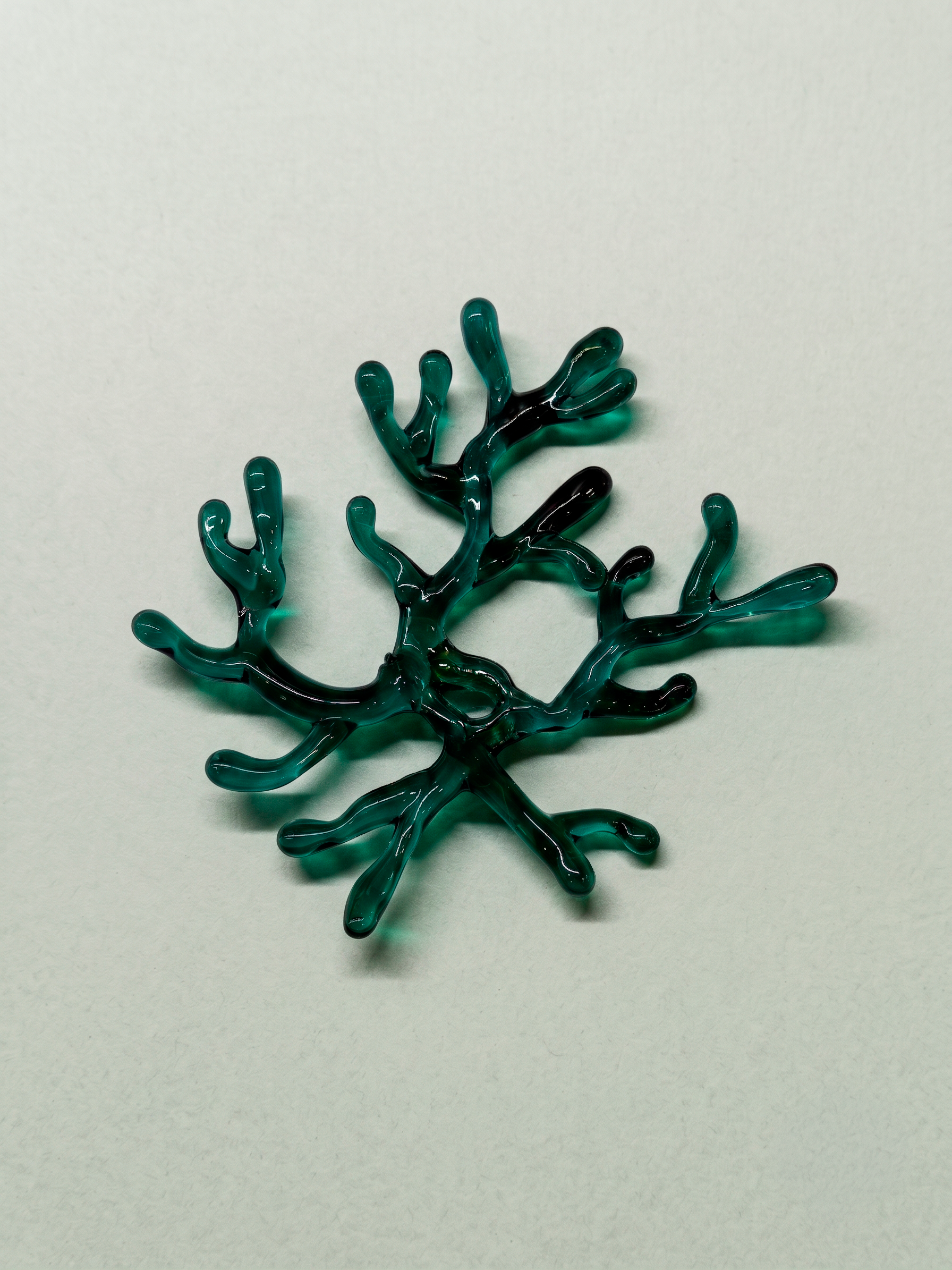PREVENTA Broche Algae x Mar Bermejo